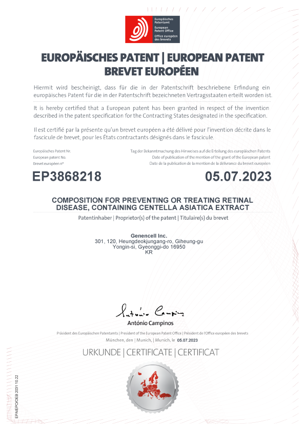 Composition for preventing or treating retinal disease, containing Centella Asiatica Extract